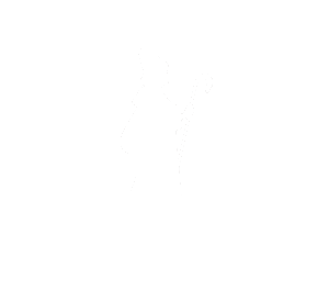 Dervish Vegan Restaurant